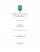 Presupuesto Empresarial