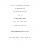 ENSAYO SOBRE SISTEMAS DUROS