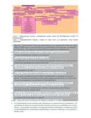 Delincuencia Juvenil y reintegración social: centro de Reintegración Juvenil "El Renacimiento".