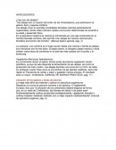 ANTECEDENTES ¿Que son las abejas?