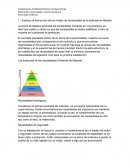 Explique al menos dos de los niveles de necesidades de la pirámide de Maslow