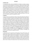 Kaizen. METAS DE KAIZEN