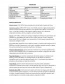 RESUMEN INTEGRADORA DE HISTORIA