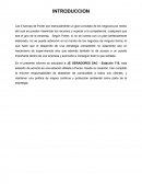 Las cinco fuerzas de Porter: Una herramienta estratégica para el éxito empresarial