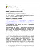 RAZONAMIENTOS Y/O DATOS MEDIANTE LOS CUALES EL /LA(S) AUTOR/A(S) PRETENDE(N) HACER VÁLIDA SU TESIS