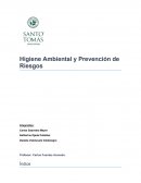 Higiene Ambiental y Prevención de Riesgos.