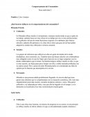 Analisis Consumidores "El diablo viste a la moda"