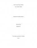 IMPORTACIONES DE MAIZ