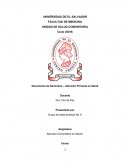 Atención Primaria en Salud - Información completa