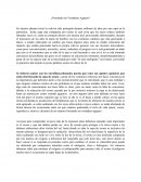 Formando un verdadero agujero