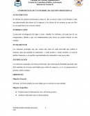 COMPONENTES DE UN INFORME DE GESTION PROFESIONAL.