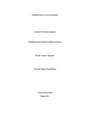 Planificación de recursos humanos.Gestion