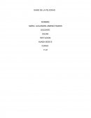 Oasis de la felicidad