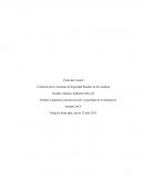 Psicoprevencion y psicologia.