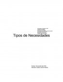 Tipos de necesidades.