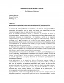 La evaluación de las familias y parejas