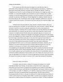 CHARLA DE SEGURIDAD: