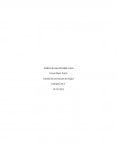 Análisis de una actividad o tarea. Gestión de prevención de riesgos