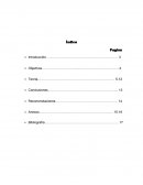 UN ENSAYO DE LOS VALORES