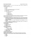 Neurodesarrollo Infantil