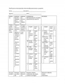 Planificacion semanal periodos intencionalidad permanente o propósito.