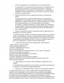 ¿Por qué la capacitación y el entrenamiento son conceptos distintos?