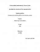 El impacto de la opinión publica en movimientos sociales