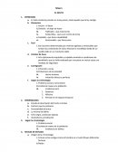 Es toda conducta prevista en la ley penal y todo aquello que la ley castiga