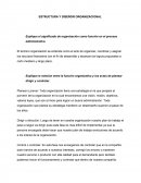 ESTRUCTURA Y DISEÑOR ORGANIZACIONAL.