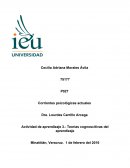 Actividad de aprendizaje 3.- Teorías cognoscitivas del aprendizaje