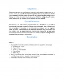 Evidencia 1 optimización de procesos