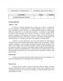 Activos corrientes Tema n. 1 Caja