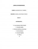 TRABAJO DE CAMPO- LOMAS DE MANGOMARCA