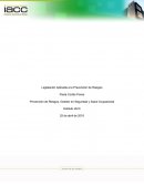 Prevención de Riesgos, Gestión en Seguridad y Salud Ocupacional