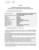 Proyecto de cacahuate tatemado.