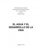 EL AGUA Y EL DESARROLLO DE LA VIDA