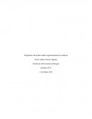 Diagnóstico del actual modelo organizacional de la empresa