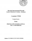 PROTECCIÓN INTERNACIONAL DE LA MINORIDAD.