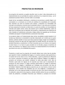 PROYECTOS DE INVERSION.