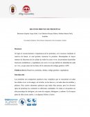 Universidad de Pamplona, Villa del Rosario, Departamento Norte de Santander, Colombia.