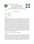 Paper grupo cationico 2