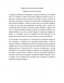 Trabajo de síntesis de la primera unidad.