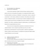 ¿Qué efecto tendría la aplicación de la tecnología en los factores de producción y por lo tanto en la producción total de arroz en la región de Arequipa?