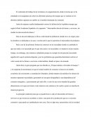 El contenido del trabajo ha de orientarse a la argumentación