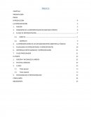 LA REPRESENTACIÓN DE LOS ESTABLECIMIENTOS ABIERTOS AL PÚBLICO