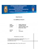 Procesos curriculares institucionales y organizacionales, 1995, pp. 54-57.