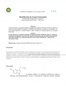Calcomanias- Identificación de Grupos Funcionales