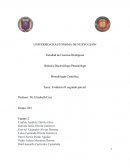 Metodologia- Químico Bacteriólogo Parasitólogo