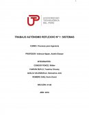 UN TRABAJO AUTÓNOMO REFLEXIVO Nº 1: SISTEMAS