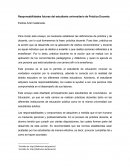 Responsabilidades del practicante de educación.